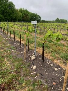 vignoble de Cognac avec sonde Hydrascout en France