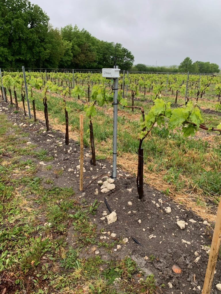 vignoble de Cognac avec sonde Hydrascout en France